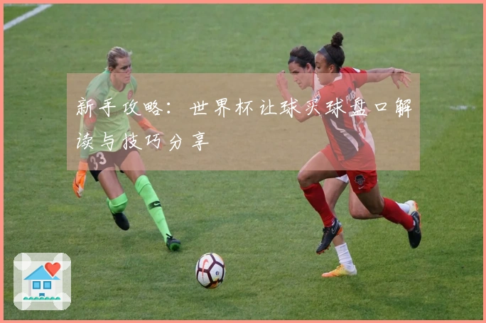 新手攻略：世界杯让球买球盘口解读与技巧分享