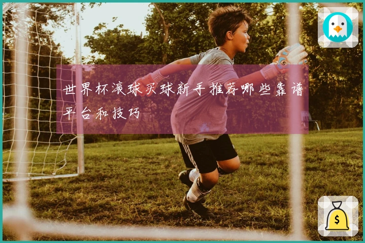 世界杯滚球买球新手推荐哪些靠谱平台和技巧