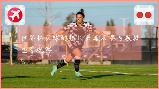 世界杯买球的热门渠道及参与数据全景观察