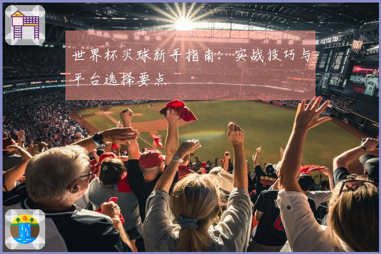 世界杯买球新手指南：实战技巧与平台选择要点