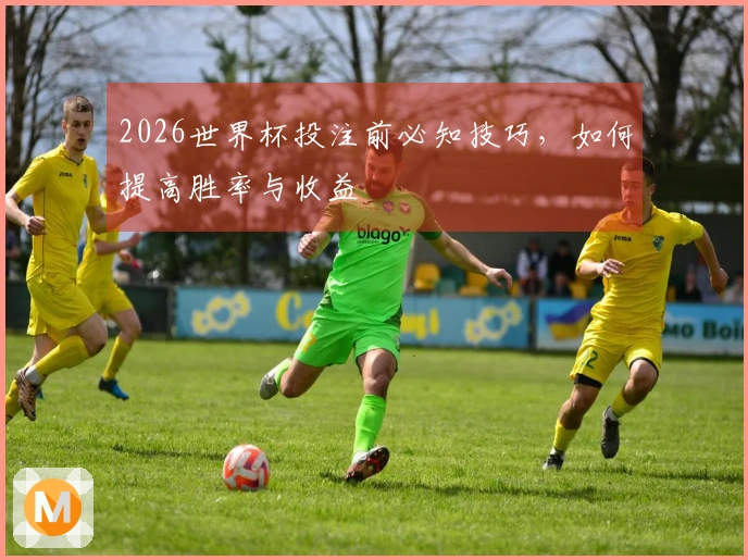 2026世界杯投注前必知技巧，如何提高胜率与收益