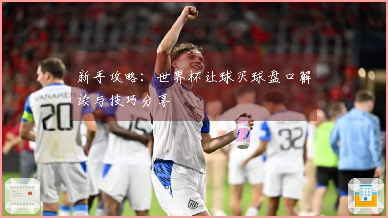 新手攻略：世界杯让球买球盘口解读与技巧分享
