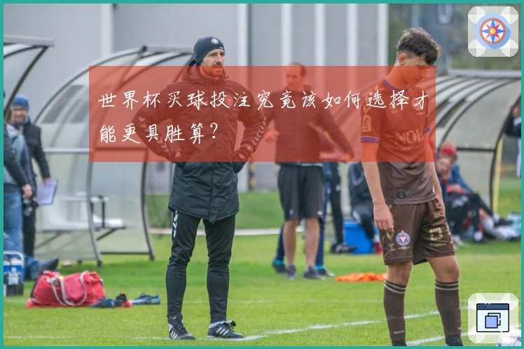 世界杯买球投注究竟该如何选择才能更具胜算？