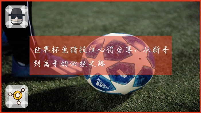 世界杯竞猜投注心得分享，从新手到高手的必经之路