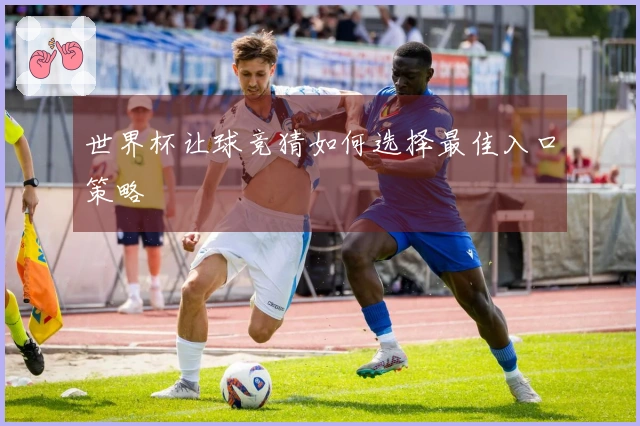 世界杯让球竞猜如何选择最佳入口策略