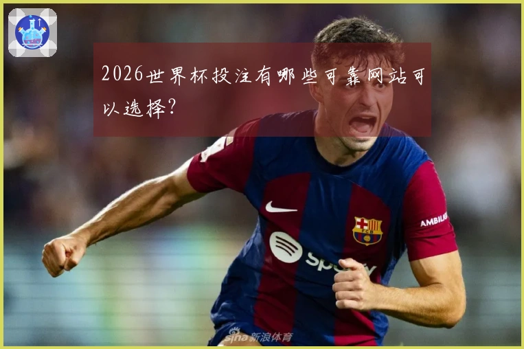 2026世界杯投注有哪些可靠网站可以选择？