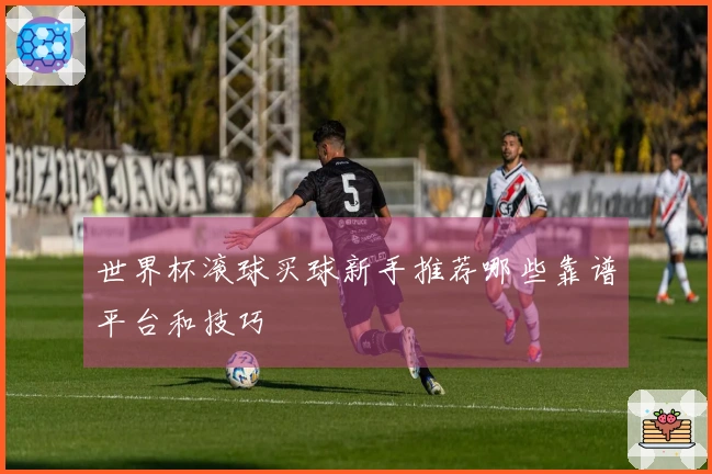 世界杯滚球买球新手推荐哪些靠谱平台和技巧