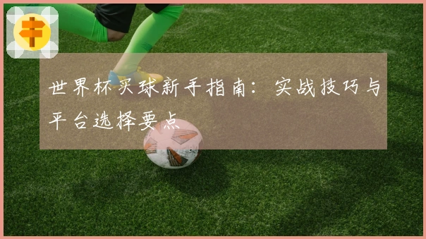 世界杯买球新手指南：实战技巧与平台选择要点