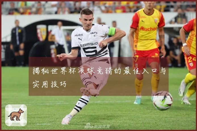 揭秘世界杯滚球竞猜的最佳入口与实用技巧